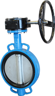 8 CPS Wafer Style DI Butterfly Valve, 316SS Disc, EPDM, Gear Operated