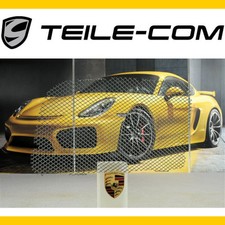 Porsche 911 991 GT2RS Lufteinlassgitter seitlich RECHTS 99150571484 Porsche 911 991 GT2RS Lufteinlassgitter seitlich RECHTS 99150571484