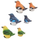 6Pcs Cute Birds for Desktop Decoration and Mini Garden Supplies