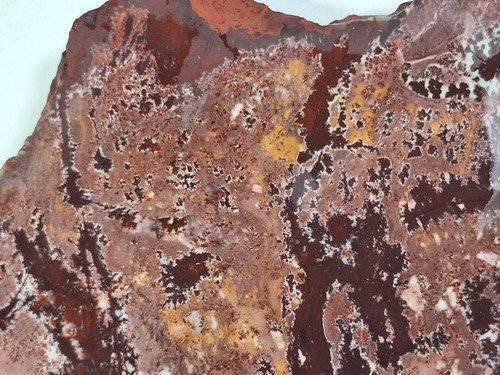 Unpolished End Piece SONORAN DENDRITIC JASPER RHYOLITE Lapidary Slab *Mexico - Picture 1 of 8