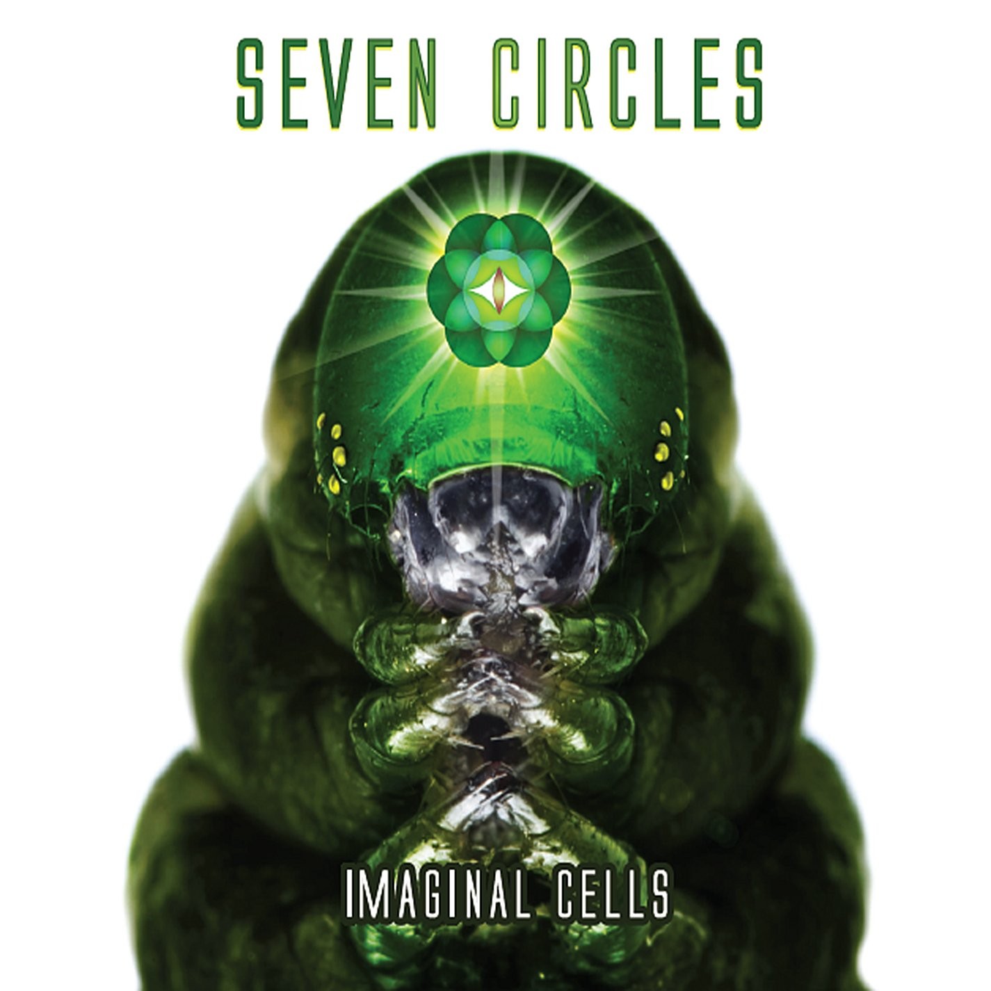 Имагинальные клетки Seven Circles (CD) (ИМПОРТ ИЗ Великобритании)