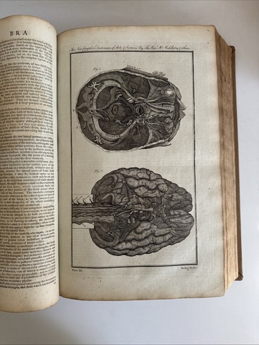 1778 Antique Middleton’s Dictionary - Encyclopedia Arts & Sciences - 80 Plates - Picture 13 of 20