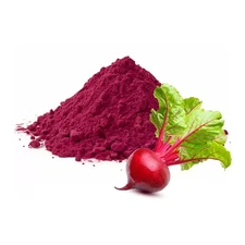Beet Root Powder (Beta vulgaris) Premium Quality Powder - WHOLESALE!!