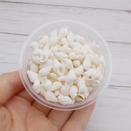 90grams About 250pcs White Tiny Seashell Natural Beach Spiral Shells Craft Ch... - Picture 6 of 6