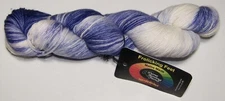 480 yds Done Roving FROLICKING FEET Superwash Merino Fingering sock yarn SUMMER