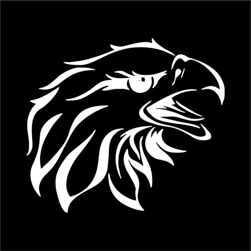 USA American Eagle Car Truck Window Wall Laptop Car Decal Sizes and Colors - Foto 2 di 15