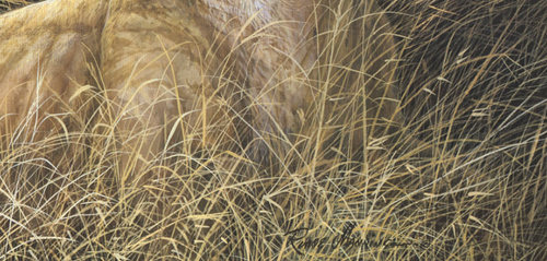 Ruane Manning Male and Female Lion Winds of the Serengeti 20x16 in - Picture 4 of 4