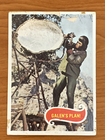 Bild 73 von 129