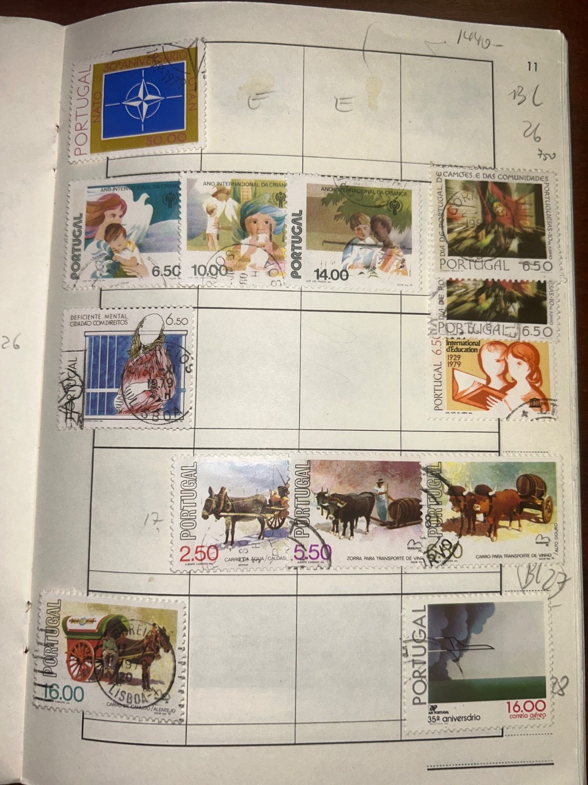 Picture 11 of 19