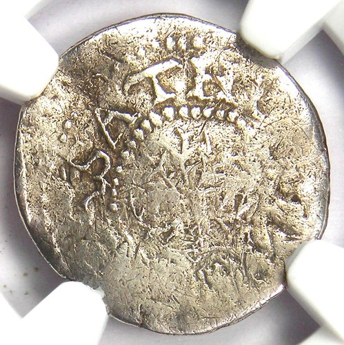 1652 Massachusetts Oak Tree Silver Threepence 3P - Certified NGC VF Details - Picture 5 of 5
