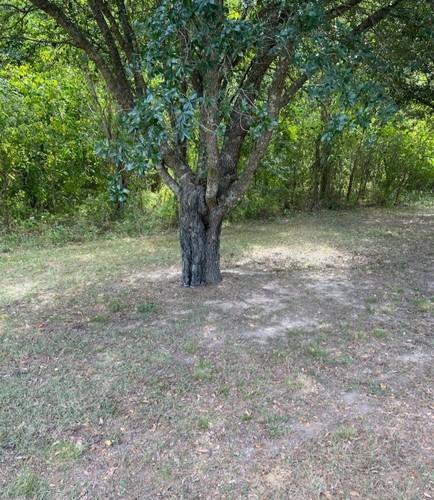 Ghilliemonster Camouflage Summer Pants (Non-Insulated) - Bild 3 von 4