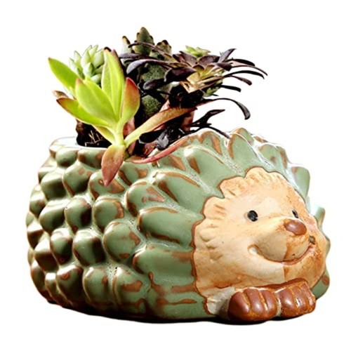 Ceramic Hedgehog Flowerpot Cartoon Animal Plant Pot Decorative Plant Planter - Picture 2 of 9