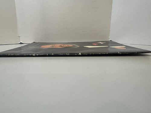 Frank Sinatra Diamond Jubilee Concert Program Book 1990 Tour Photo Program - Picture 5 of 11