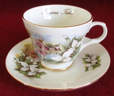 Crown Trent Ontario Cup & Saucer Trillium Flower Gold Trim Niagara Fall Souvenir