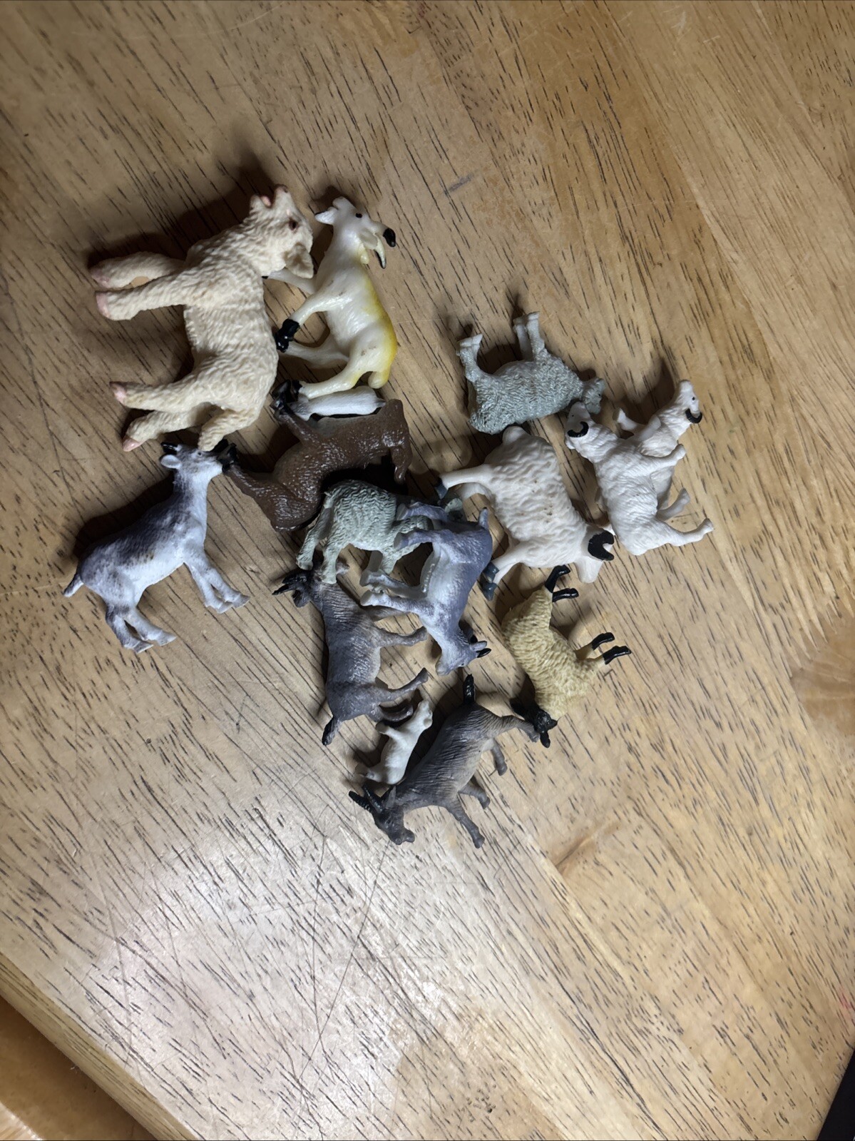 Picture 9 of 24