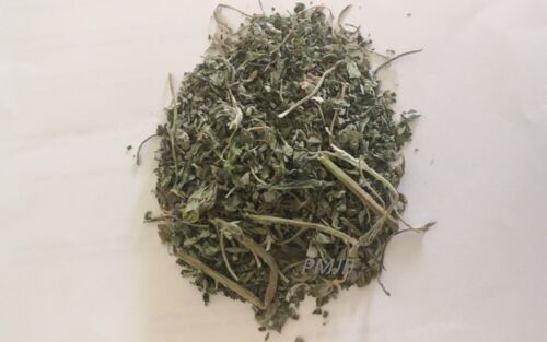 100% Natural Grown Premium Catnip spoil your loved Kitten cat 14 years OZ Seller - Picture 2 of 7