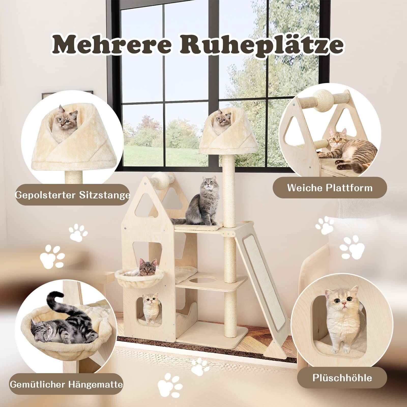 Bild 5 von 8