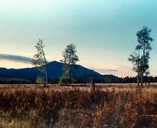 Live - Fine Art Photography Print 8x10,16x20,24x30