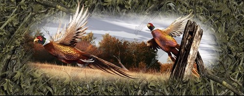 Pheasant camouflage hunting rear window view thru graphic decal - Bild 5 von 9