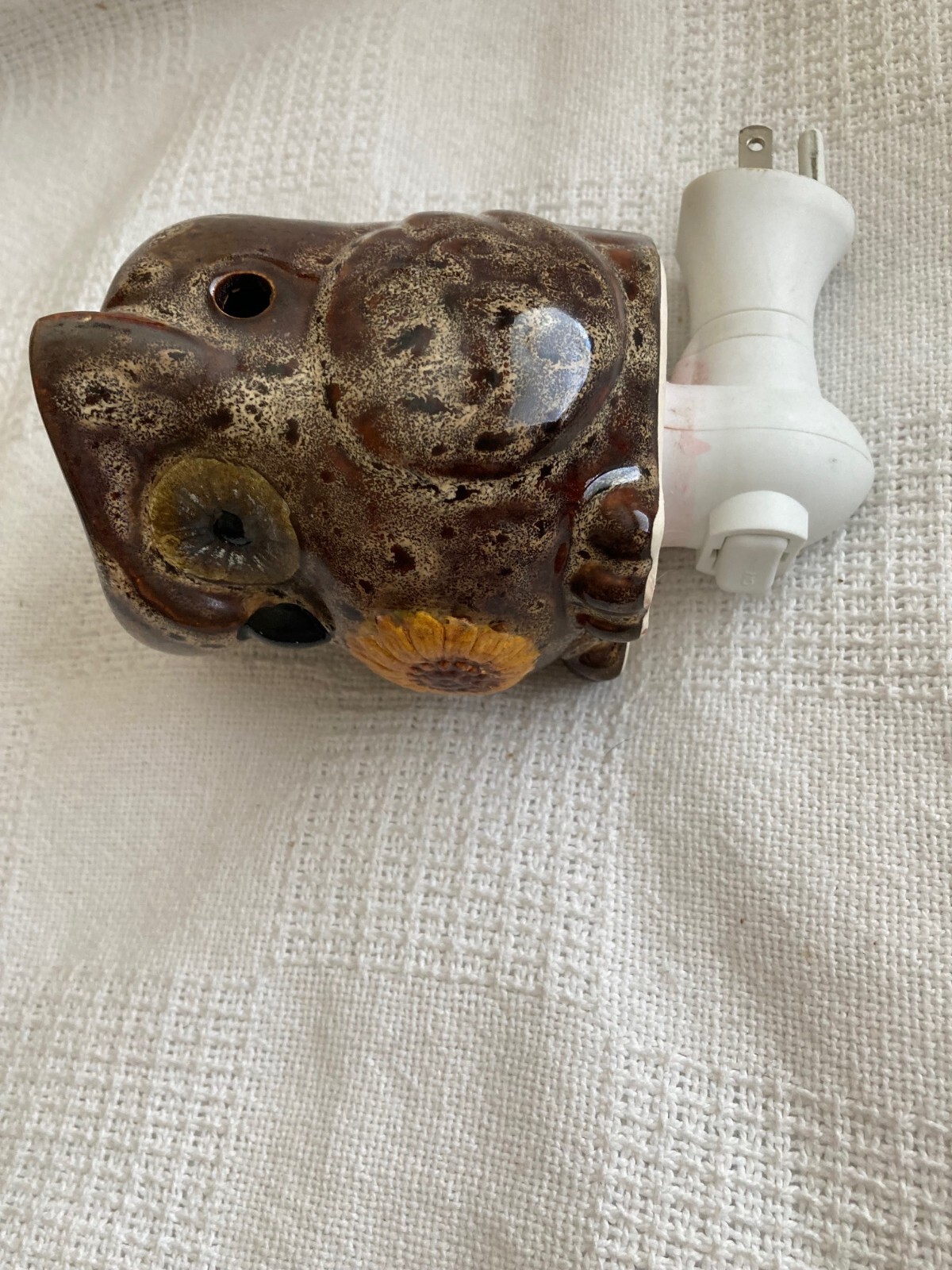 Picture 6 of 6
