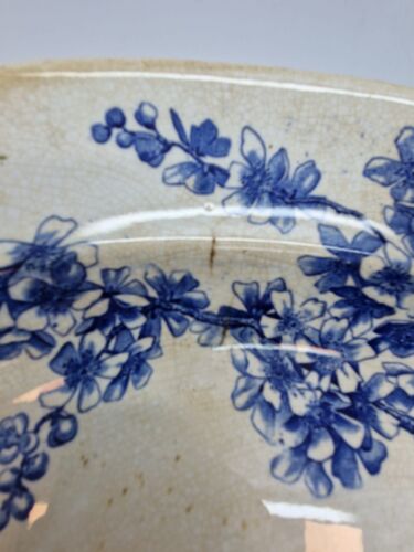 Peach Blow George Jones Oval Platter - Picture 6 of 6