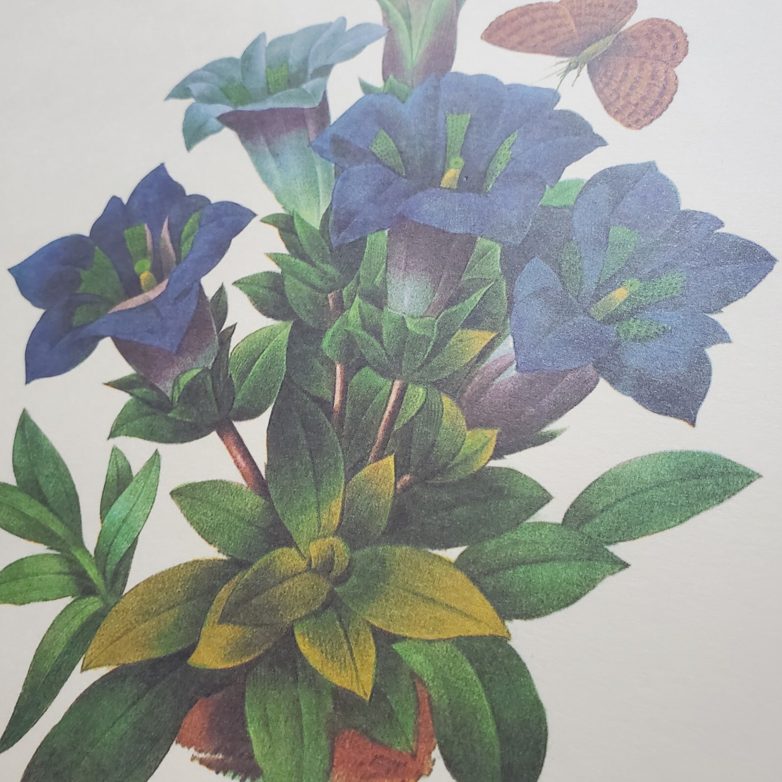 Picture 6 of 24