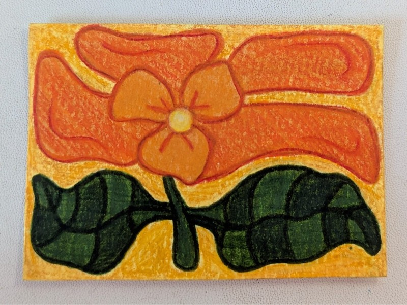 ACEO Artist Original, ATC Artist Trading Card, Flower, Orange, Colored Pencil