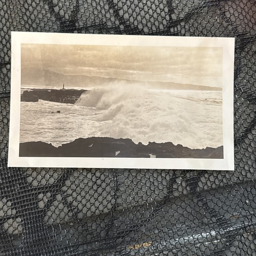 Lot 10 Handsome young men/ Hawaii  NAVY sailor portrait  vtg photos Hawaii - Picture 6 of 12