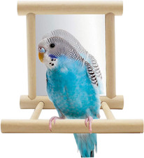 Bird Parrot Mirror Toy Swing Hanging with Perch for Parrot Parakeet Budgies Cock