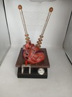 Foto 7 di 7