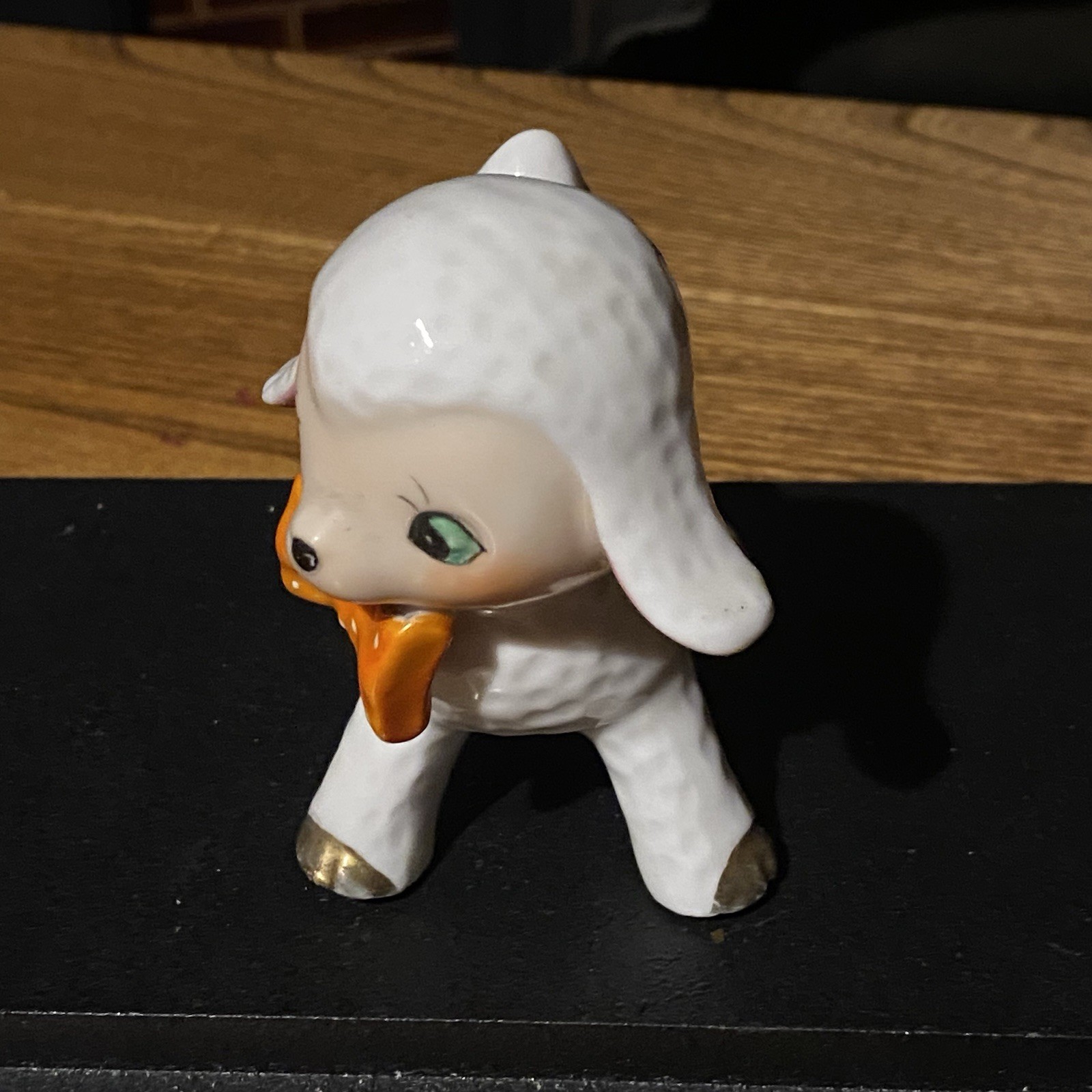 Picture 16 of 24