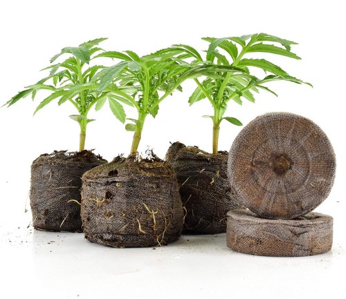 50 Compressed Coco Coir Seed Starter Jiffy Pellet Soil Disks Gardening Peat - Picture 1 of 5