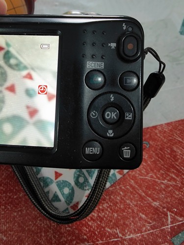 Fotocamera Nikon Coolpix L27 - Foto 13 di 20
