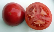 Tomato Bradley Pink Fruits Rich In Vitamins And Antioxidants Outdoor 20 Seeds