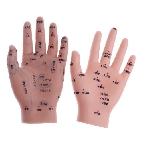 14cm Nachricht Akupunktur Handmodell Reflexzonenmassage Acupoint - Bild 2 von 8