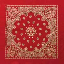 Bandana 100 Cotton Paisley Print Double-Sided Scarf Head Neck Face Mask 22"X22"