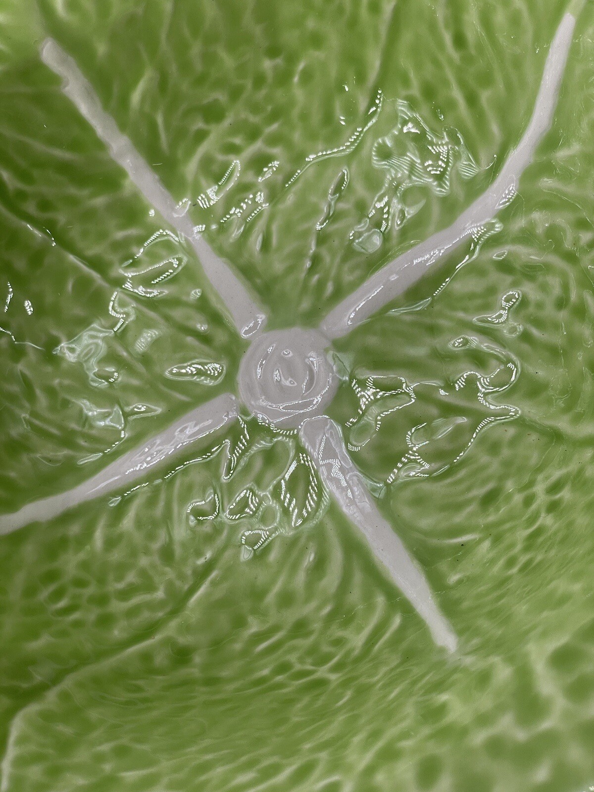 Picture 6 of 6
