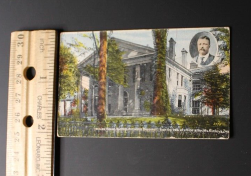 Wilcox House Buffalo NY Teddy Roosevelt Postcard 3776 3.25x2" Antique c. 1901 - Picture 4 of 4