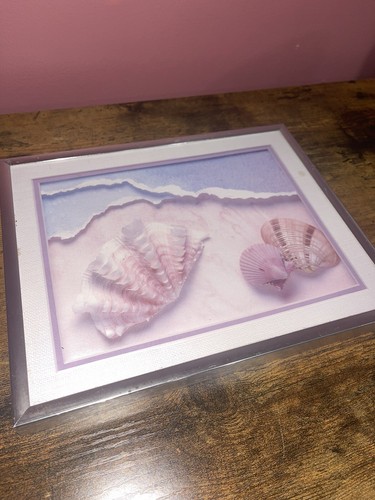 Sea Shells Prints - Picture 6 of 12