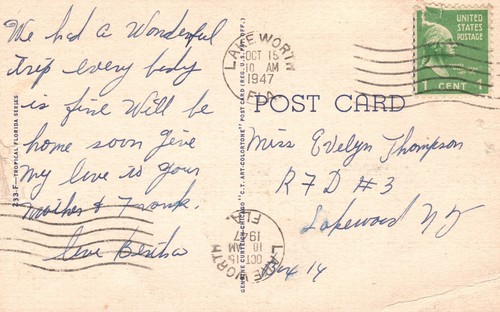 Vintage Postcard 1947 Royal Poinciana Tree Amidst Majestic Palm Trees Florida FL - Picture 2 of 2