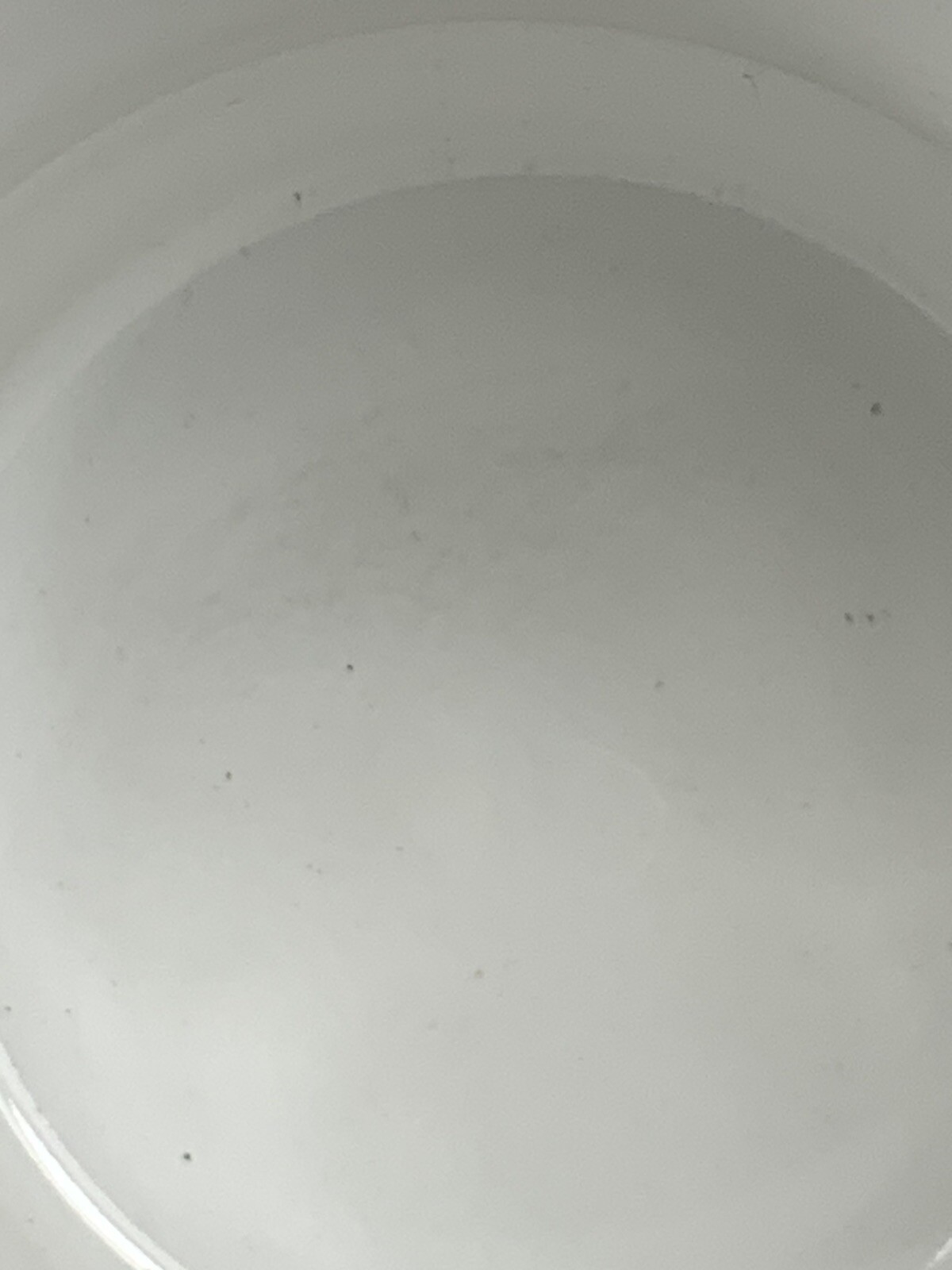 Picture 4 of 17