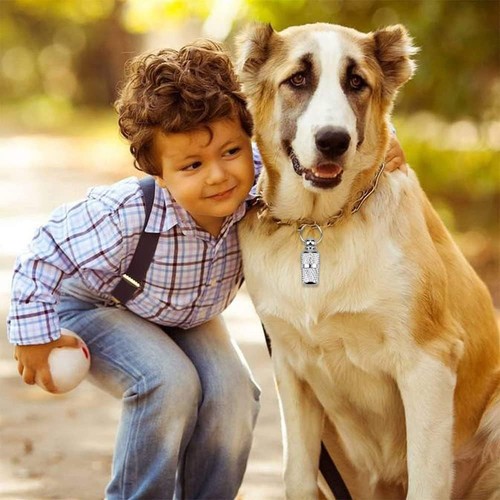 Dog Cat Address Tag ID Anti Lost Pet Pets Puppy Name Identity Barrel Tube Collar - Picture 11 of 15