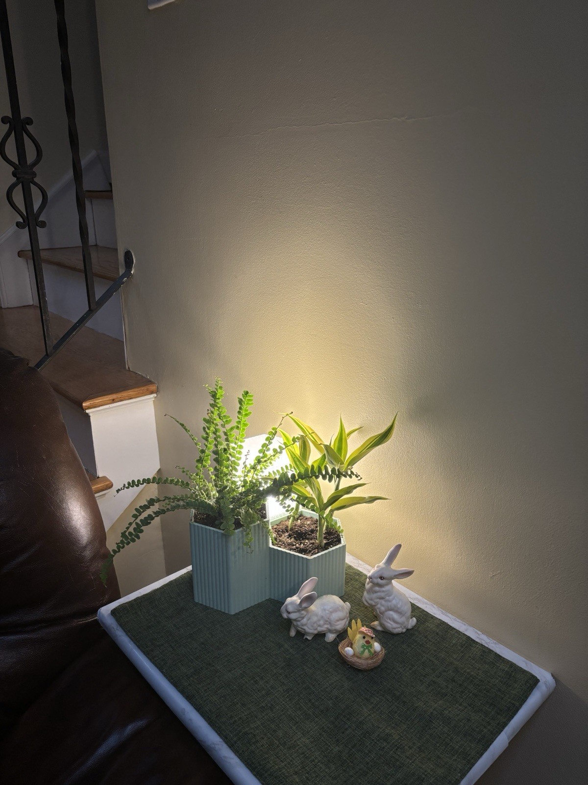 Picture 1 of 7