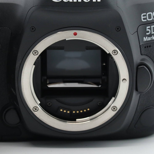 Numero di otturatori 686 Canon EOS 5D Mark IV corpo EOS5DMK4 - Foto 10 di 10