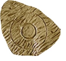 (INSERT ONLY) Rinehart Targets Predator 3D Woodland Coyote Archery Target Insert