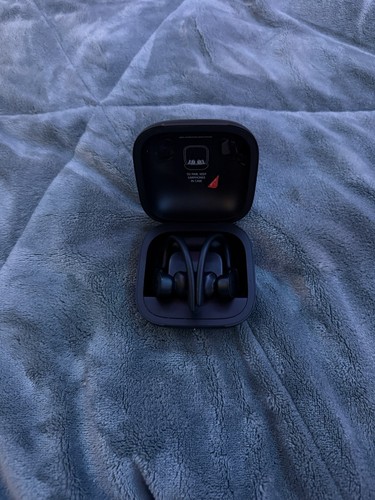 Apple Powerbeats Pro - Fast Shipping, Good Condition, READ DESC.