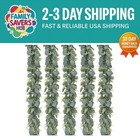 Charming 5.5ft Eucalyptus Garland, 5pcs - Ideal for Backdrop & Centerpiece Decor