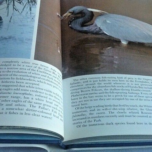 The Birds of the Wetlands by James Hancock - First Edition Hardback 1984 - Picture 4 of 11