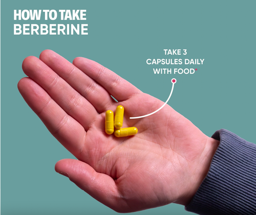Berberine | German Pharma | 90 Capsules | Highest Purity | 1500mg | Vegan - Picture 3 of 5