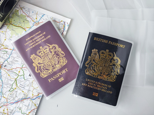 Reisepasshülle Schutz PVC UK Passport Holder Wallet Transparent Klar/Matt - Bild 3 von 14